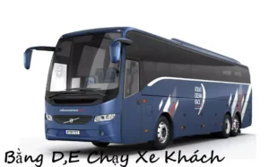 Mua bằng lái xe hạng d,e