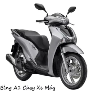 mua bằng lái xe máy