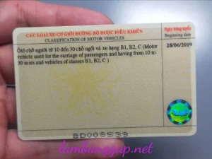 làm bằng lái xe b2 mặt sau