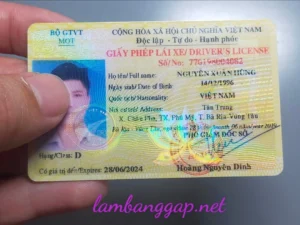 làm bằng lái xe giả