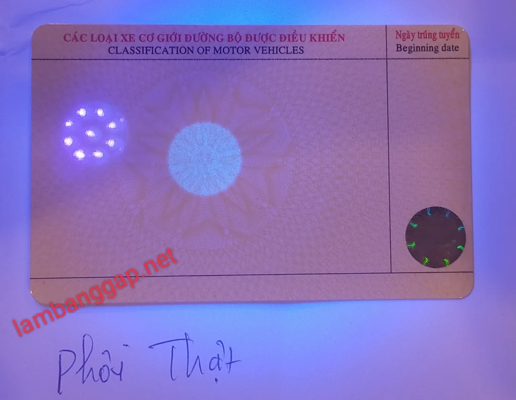 mẫu phôi bằng lái xe gốc