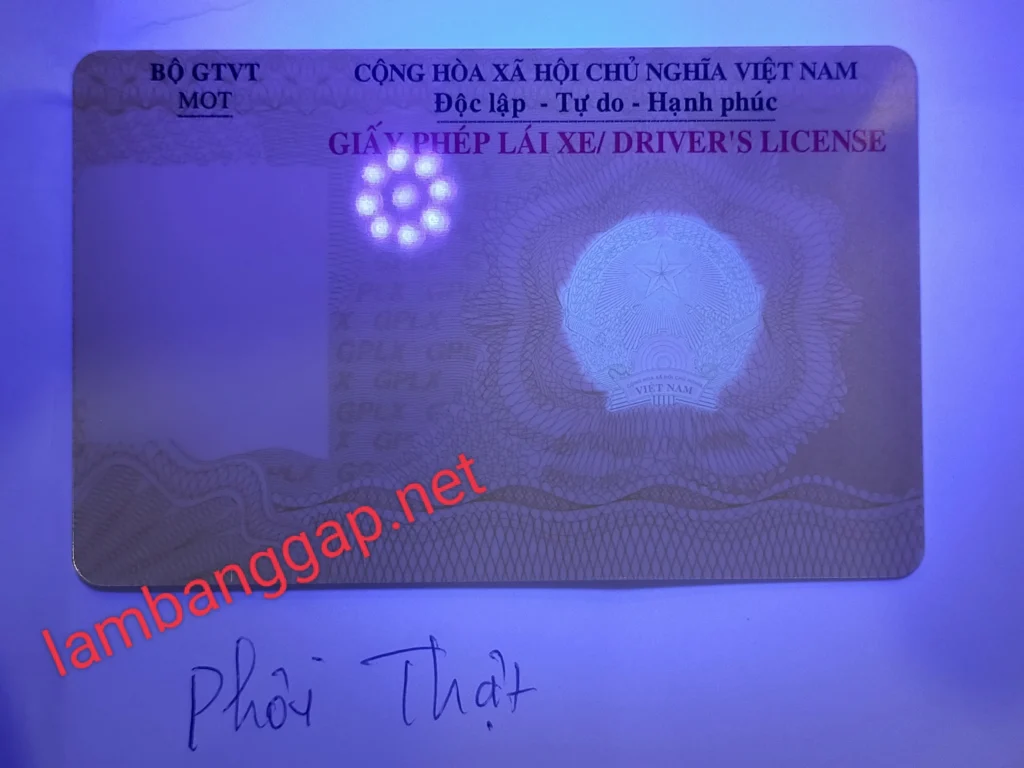 mua bằng lái xe máy