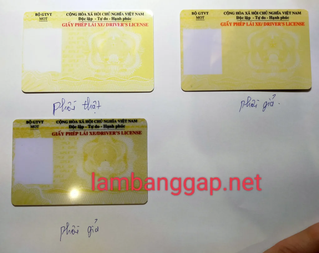 Phôi bằng lái xe gốc 100%
